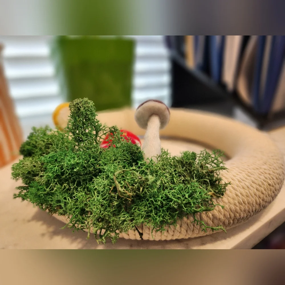 Off White Needlefelted Colorful Mushroom And Moss Hanging Wreath